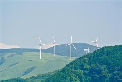 行政・補助金