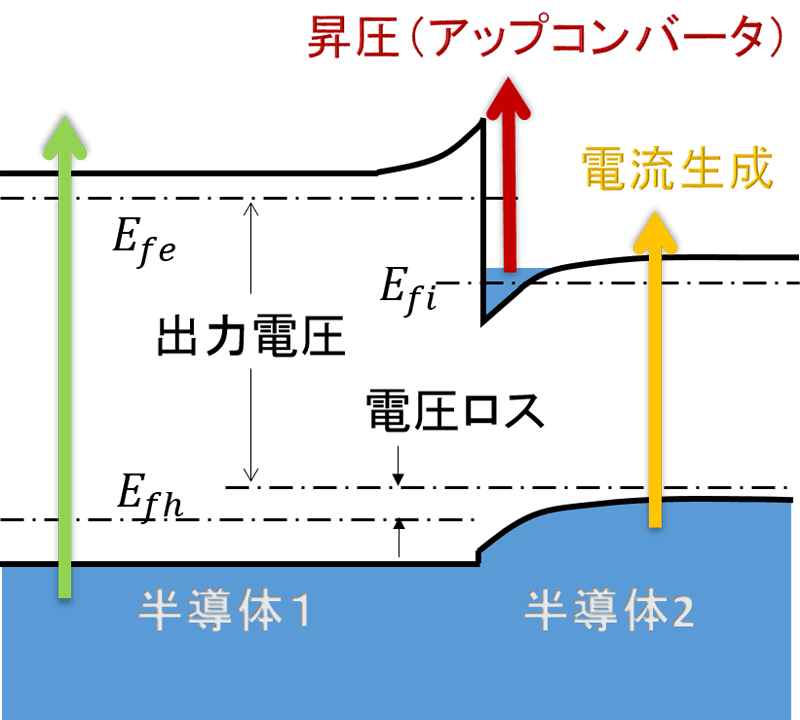 神戸大学