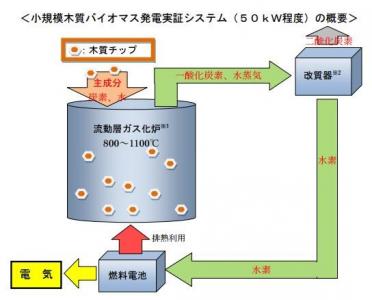 燃料電池