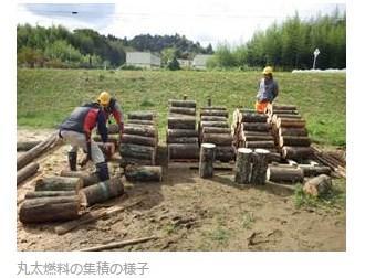 丸太燃料流通システム