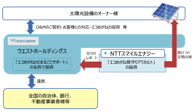 エコめがね