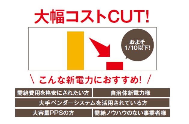日本新電力総合研究所