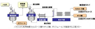 サトウキビ